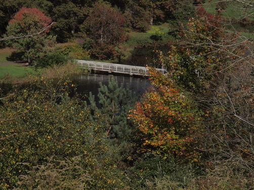 whaet field next to Arboretum