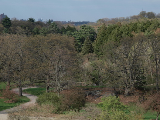 whaet field next to Arboretum