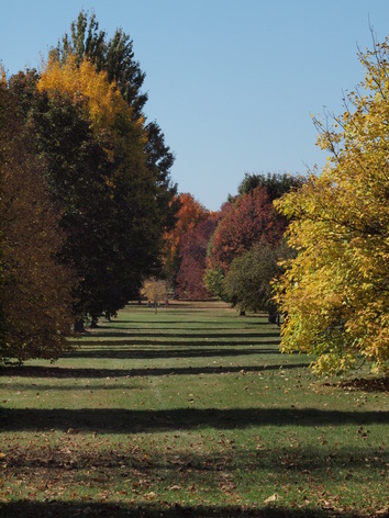 View of the Asian Collection