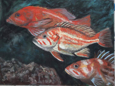 Rockfish - soft pastel