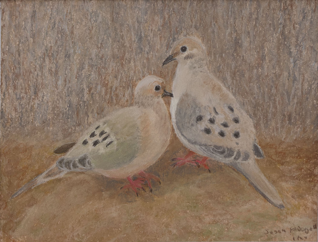 Mourning Doves